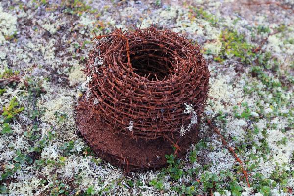 Here and there we met the old iron. Barbed wire, shot gun cartridges (I even take 40mm spent cartridge case with me :P), rusted fuel cans...