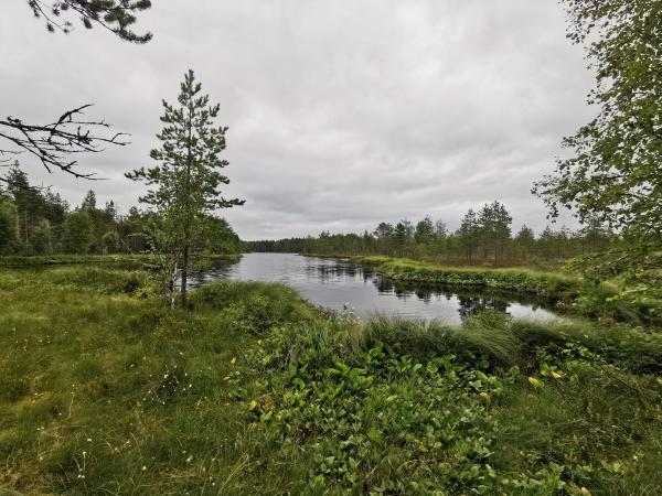 hdr