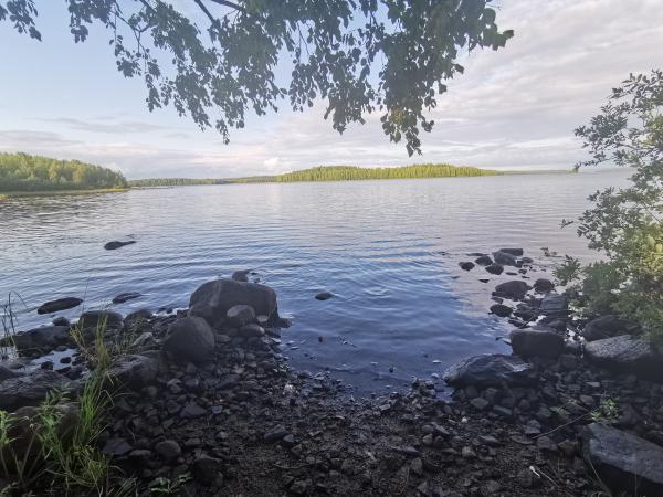 hdr