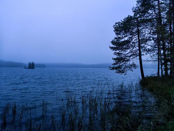 _cuva