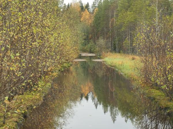 _cuva